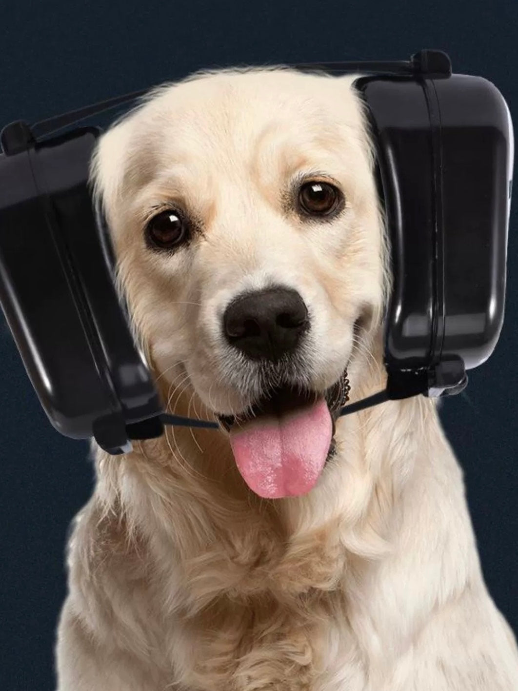 Noise Protection Noise Reduction Earmuffs for Dogs